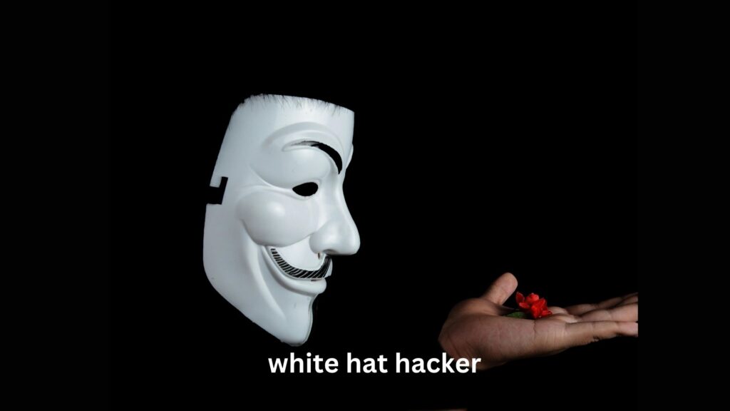 White hat hacker